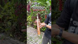 GOLOK SEMBELIH SLEIPNER A88 [upl. by Lahtnero]