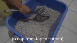 How to clean the litter box video [upl. by Luapnhoj]