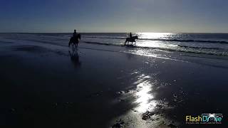 Chevaux et cavaliers sur la plage filmés par un drone [upl. by Heydon]