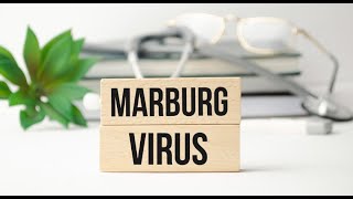 Marburg Virus Scare in Hamburg False Alarm [upl. by Yrtnahc]