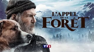 Bande Annonce TF1  Lappel de la forêt  CINÉ DIMANCHE [upl. by Aicsile]