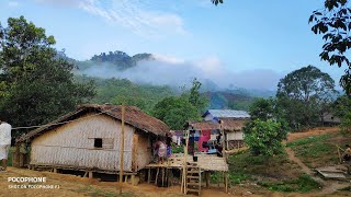 Jina para জিনাপাড়া bandarban  morning in jina para  Beautiful view bandarban [upl. by Adnahcir440]