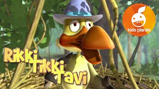 RIKKI TIKKI TAVI Episode 6  cartoons for kids  stories for children  Jungle book by R Kipling [upl. by Deery]