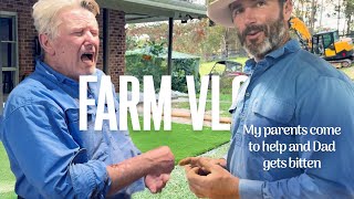 Making Over the Backyard Garden  The Australian Dog Farm Vlog [upl. by Rayna]