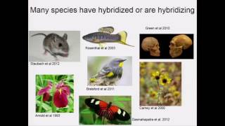 Schumer Assortative mating and hybrid incompatibility in natural hybrid populations [upl. by Belanger]