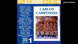 Carlos Campos Discos Orfeon Disco Completo Vol 1 [upl. by Ateiluj]