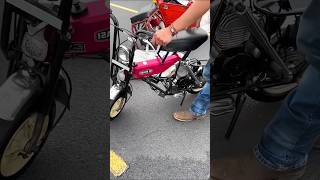 Expensive bike shorts explain shortvideo [upl. by Ettelorahc]