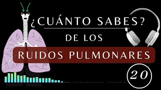 Los Ruidos Pulmonares  TEST DE AUSCULTACIÓN PULMONAR anormales fisiologia medicina [upl. by Staffan350]