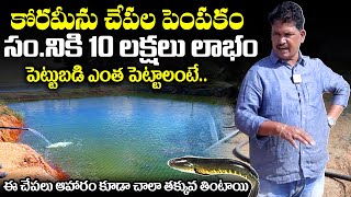 Fish Farming Business in Telugu  Koramenu Fish Farming with HIGH PROFITS  NewsQube [upl. by Mccomb77]