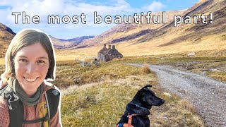 ThruHiking the West Highland Way with my Dog Glencoe to Fort William  Wind Sun and the END [upl. by Enttirb731]