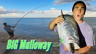 Screaming Reels and Big Fish  Surf Fishing for Mulloway [upl. by Rihsab589]