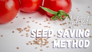 UPDATED Seed Saving Method  Saving Tomato Seeds the Quick Way No Fermenting [upl. by Ahsa]