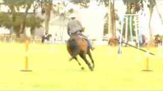 Australian Stock Horse Trials [upl. by Ysiad784]