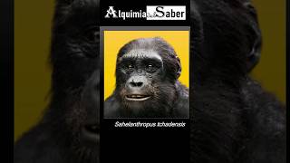 Sahelanthropus tchadensis  Alquimia del Saber  Sh64 prehistoria historia prehistorico [upl. by Gladdie]