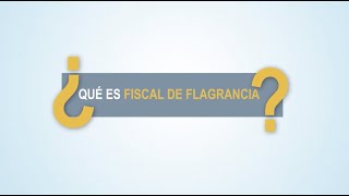 Noticiero Judicial Cápsula Educativa  ¿Qué es el fiscal de flagrancia [upl. by Everrs309]