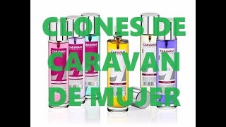 CLONES DE CARAVAN DE MUJER 💁‍♀️👃 caravan clones dupes [upl. by Etiragram]