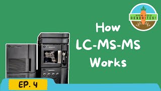 Grow Your Dendrites EP 4 How LCMSMS Works [upl. by Niamart339]