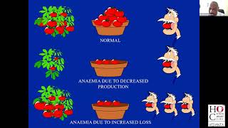 Approach to Anemia by Padma Shri Prof Dr Mammen Chandy [upl. by Atsiuqal34]