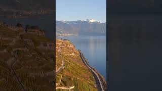 Breathtaking Drone Views of Lavaux Vineyards by Lake Geneva in Switzerland aerial dji drone [upl. by Notxap]