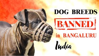 Dog Breeds Banned in Bengaluru India [upl. by Barron673]