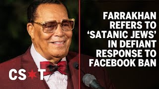 quotIm here to separate the good Jews from the Satanic Jewsquot  Louis Farrakhan [upl. by Nahtnamas]