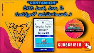 Gentamicin injection uses and dosage by veterinary telugu veterinarymedicine veterinary [upl. by Beberg]