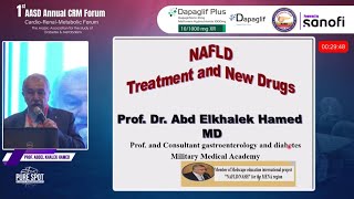 NAFLD Treatment and New Drugs  Prof Abd Elkhalek Hamed [upl. by Yelrahs410]