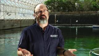 Biosphere 2 Short Documentary [upl. by Codie]