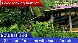 Vlog021 2hectare farm land for sale with house gandang bakasyon nito 13m price🥰🥰🥰 [upl. by Terrab]