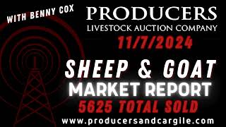 1172024 Sheep amp Goat Market Report  Producers Livestock Auction  San Angelo TX [upl. by Ariuqahs]