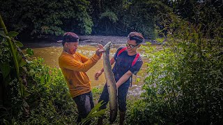 7 Hari berburu disungai dapat sidat monster berat 7kg amp dapat penghuni rawa yang besar KOOKIKO [upl. by Irod]