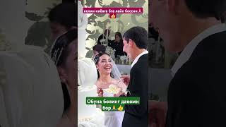 КЕЛИН ТОРТ КИЁВ ОЧ КОЛГАН cover той musica свадьба свадьба тренд wedding тикток rek [upl. by Lough]