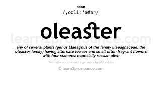 Pronunciation of Oleaster  Definition of Oleaster [upl. by Cairistiona]