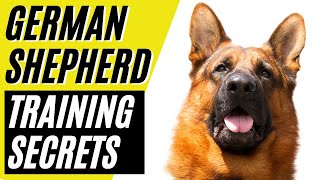 7 German Shepherd Training Secrets  GSD Training [upl. by Weisbart415]