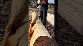 Edge straightsplitting process for the wood [upl. by Nnayram]