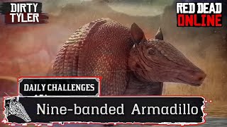 Nine banded Armadillo location RDR2  Red Dead Online Nine Banded Armadillo [upl. by Neall]