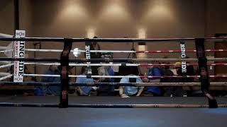 Golden Gloves 2024  Day 1 Mariott West Madison Wisconsin [upl. by Sigmund]