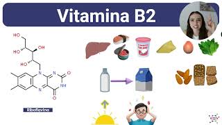 Vitamina B2 [upl. by Sivatnod]