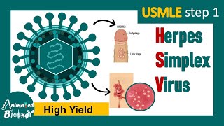 Herpes  Herpes simplex virus HSV  Infection  pathogenesis diagnosis and treatment of HSV [upl. by Ecnarf885]