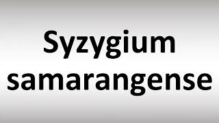 How to Pronounce Syzygium samarangense [upl. by Ydarg]