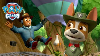 Die Pups retten Chickaletta vor Krokodilen und mehr  PAW Patrol Germany  Cartoons für Kinder [upl. by Bertram]