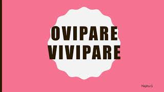 Ovipare vivipare [upl. by Aural]