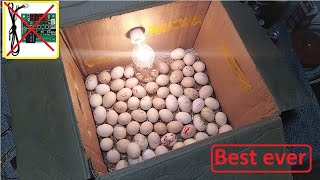 Beat idea to hatch eggs Without an temperature controller DIY HOW TO MAKE EGG INCUBATOR A HOME [upl. by Nnalyrehc]