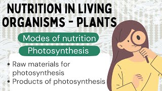 CHAPTER 1 NUTRITION IN LIVING ORGANISMS  PLANTS ☘️🌱  CLASS 7 DAV SCIENCE PART 1 FULL EXPLANATION [upl. by Stringer]