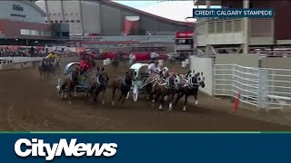 Chuckwagon race returns to the 2022 Calgary Stampede [upl. by Liban]