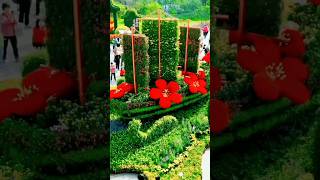 Beautiful natural flowers gardens🌺💐🌿 natureflowers naturalflowerytshtsyoutubebeautifulflowers [upl. by Seigler]