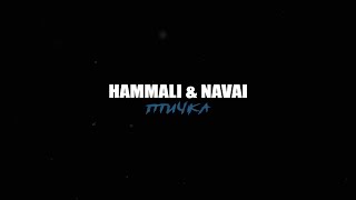 HammAli amp Navai  Птичка [upl. by Yrro209]