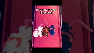 Do you like rats roblox shortsviral fypシ゚viral dresstoimpress dti funny meme dance mm2 [upl. by Gilbertine297]