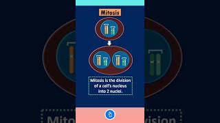 The MUST KNOW Mitosis Basics [upl. by Nrublim]