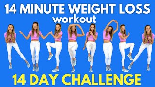 Weight Loss Workout  14Minute Workout at Home  Do this for 14 days  All Standing Moves [upl. by Tabatha531]